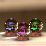 Dolphin 3D Crystal Ball Lamp