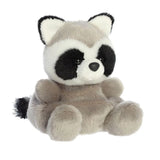 Palm Pals ~ Mini Bean Bag Friends ~ Rascal Raccoon
