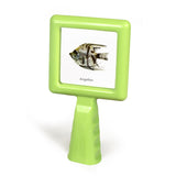 Hold & Stand Specimen Viewers