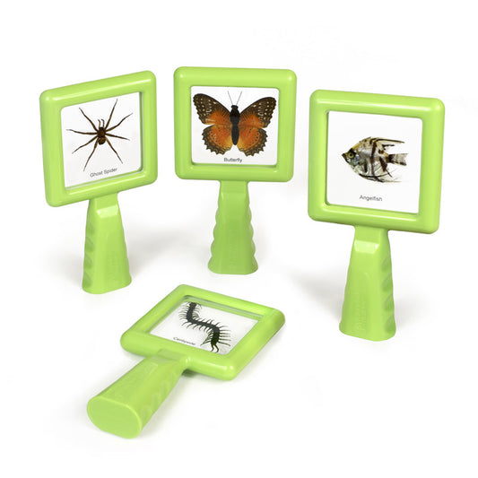 Hold & Stand Specimen Viewers