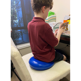 TACTILE WOBBLE CUSHION WITH CANVAS STORAGE BAG