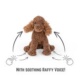 Kitty & I Interactive Comfort Bundle: Kitty & I Storybook + Comfort Me Raffy