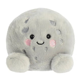 Palm Pal ~ Mini Bean Bag Friends ~ Moon