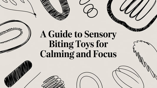 A Guide to Sensory Biting Toys for Calming and Focus