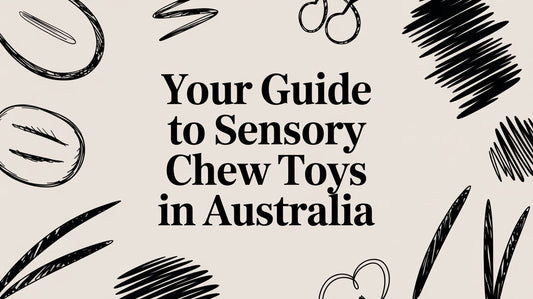 Your Guide to Sensory Chew Toys in Australia