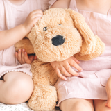 CHARLIE THE WEIGHTED PUPPY DOG ~ Mindful & Co
