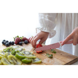 Kiddikutter Child Safe Knife ~ Blush