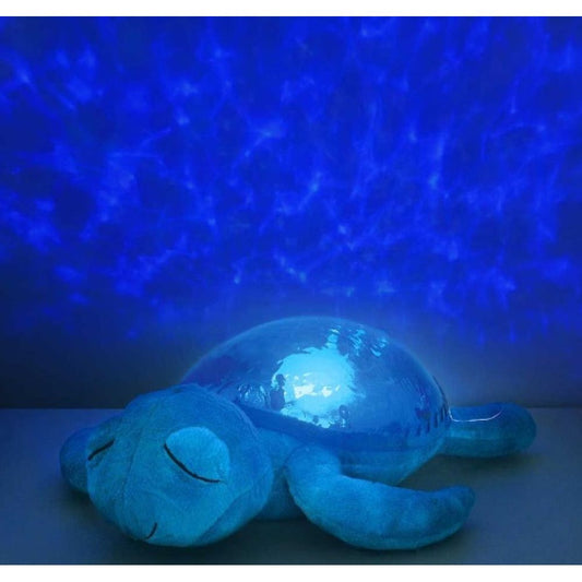 Tranquil Turtle - Aqua