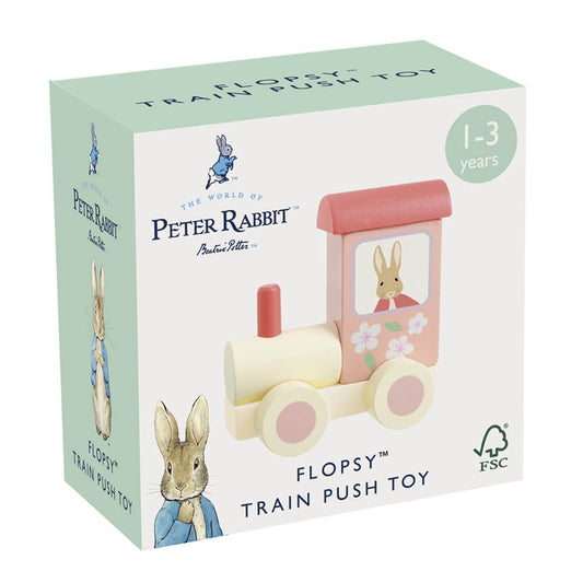 FLOPSY TRAIN PUSH TOY