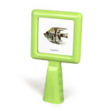 Hold & Stand Specimen Viewers