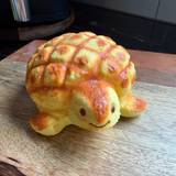 Turtle ~ Slow Rising Scented Bread Squishy