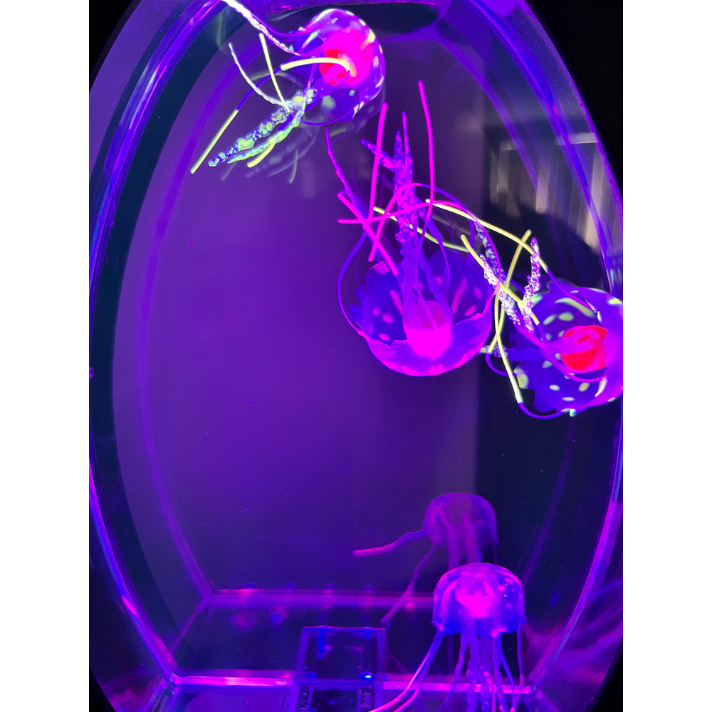 Sensory Arched Jellyfish Aquarium
