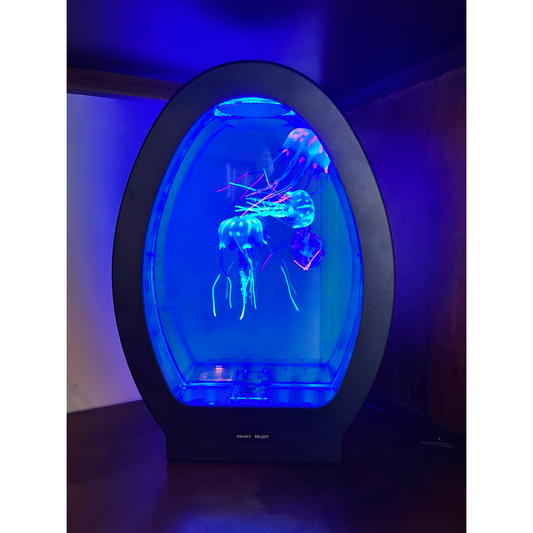 Sensory Arched Jellyfish Aquarium