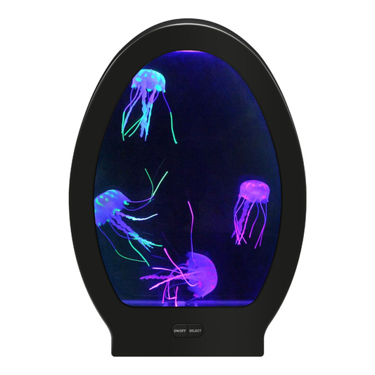 Sensory Arched Jellyfish Aquarium