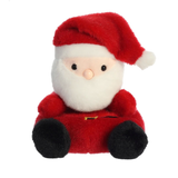 Palm Pal Santa Claus