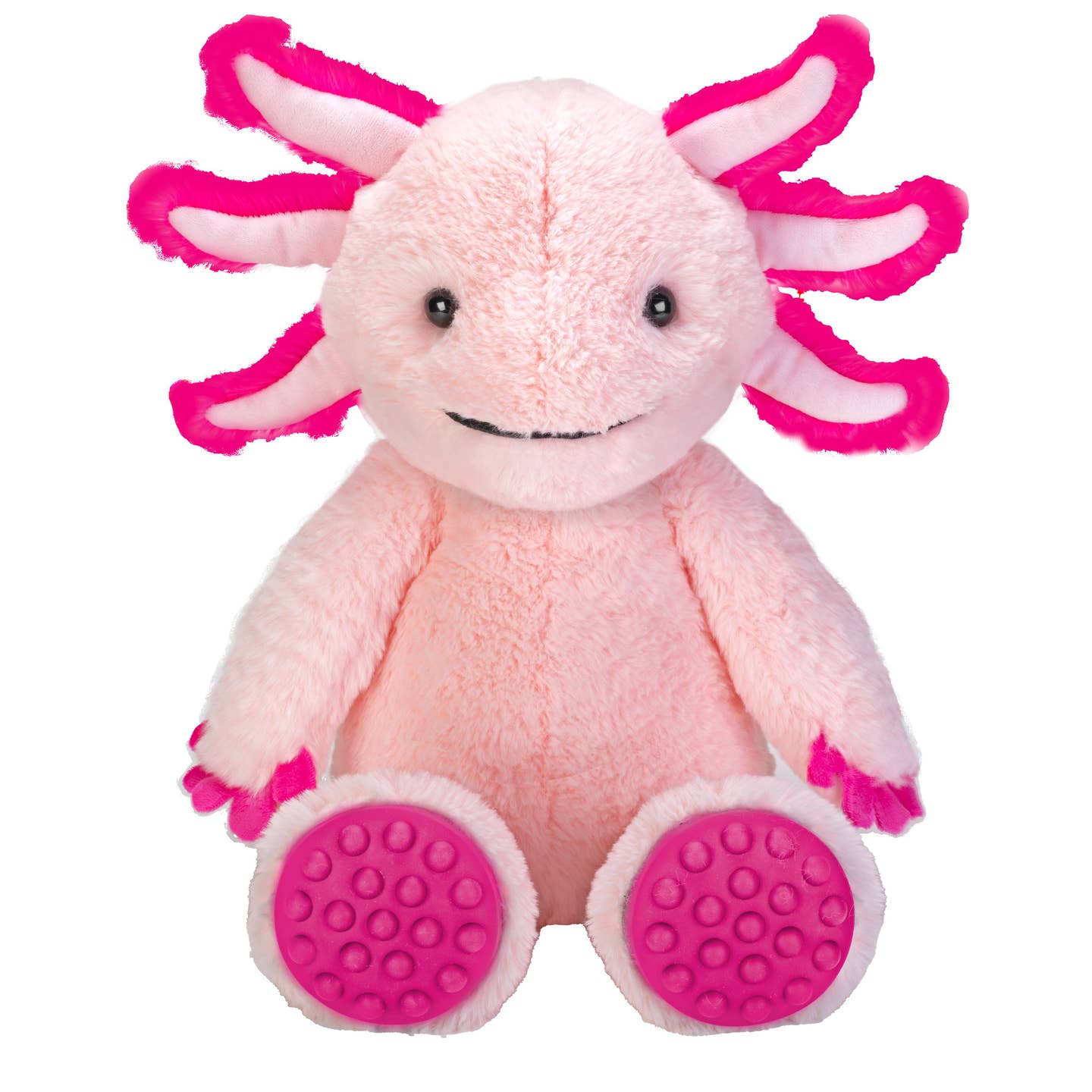The Sensory Poodle