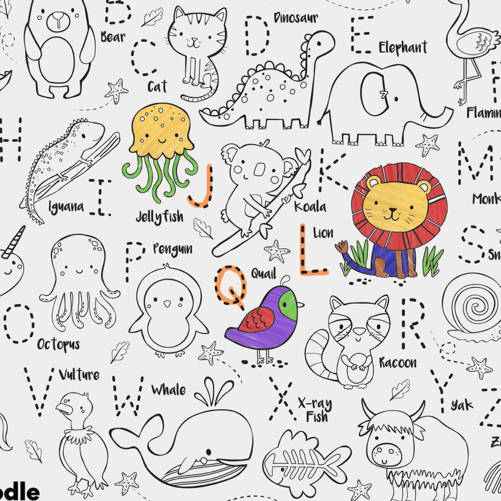 Hey Doodle ~ Reusable Silicon Activity Mats ~ Various