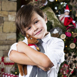 Elf Pets - Reindeer Tradition