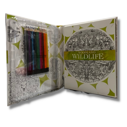 Woodland Wildlife Colouring Kit