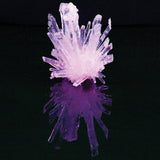 Test Tube | Growing Crystals